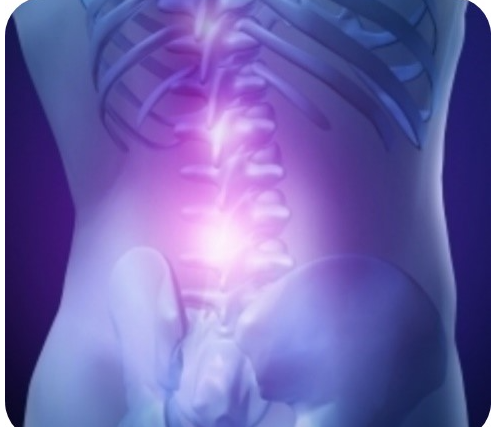 腰まわりを確認しながら手技を行う施術の様子