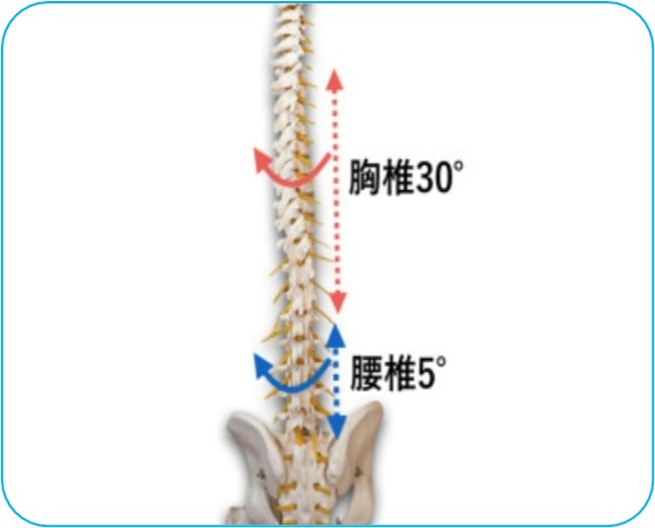 ゴルファーの背中腰の痛みの原因